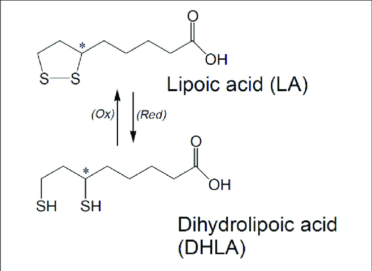 molecula acid alfa-lipoic